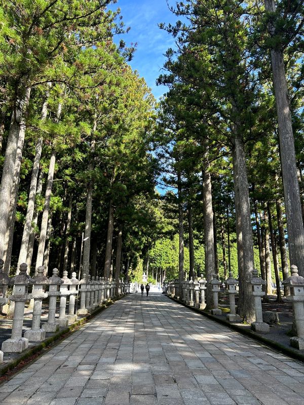日本・和歌山県「大人の遠足　高野山」の写真：奥の院