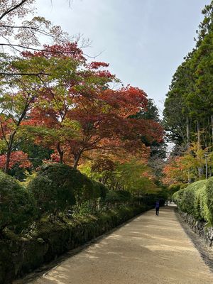 壇上伽藍③金堂　根本大塔