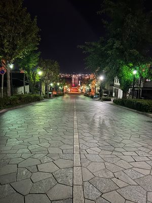 ・写真で撮るとかすむ100万ドルの夜景
・ロープウェイ休止中で山頂バスは行...