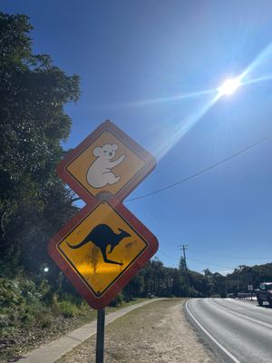 ノースストラトブロク島
今回は会えなかったけど野生のコアラやカンガルーいる...