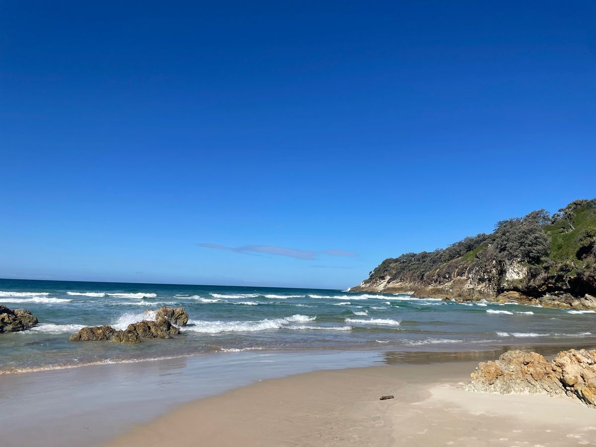 ノースストラトブロク島
今回は会えなかったけど野生のコアラやカンガルーいる...