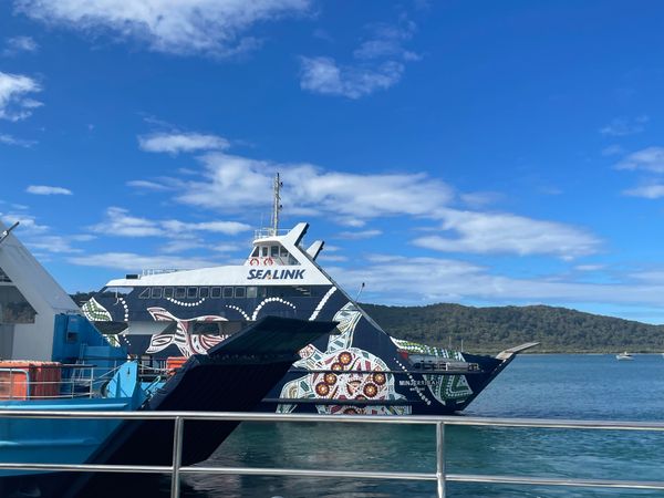 オーストラリア連邦「ブリスベンでの暮らし」の写真：ノースストラトブロク島
今回は会えなかっ...