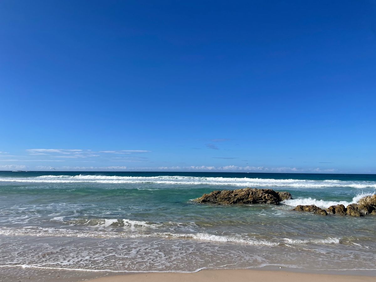 ノースストラトブロク島
今回は会えなかったけど野生のコアラやカンガルーいる...