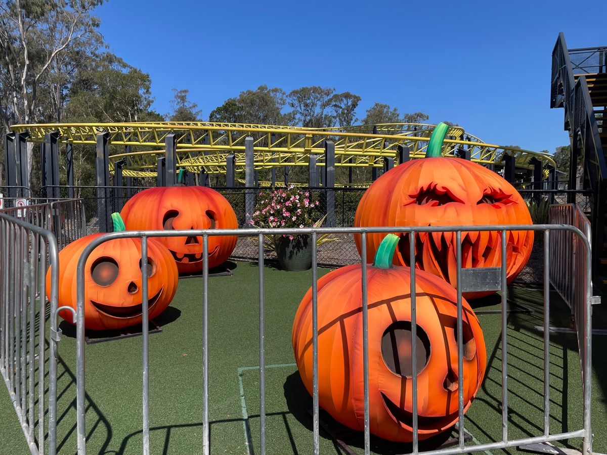 Dream World!
足びよーんってしてるコアラ好きすぎる❤️
この唐...