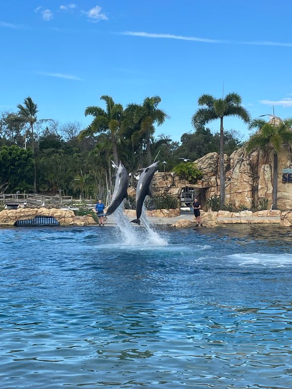 オーストラリア連邦「ブリスベンでの暮らし」の写真：シーワード
イートストリート
スイーツの...