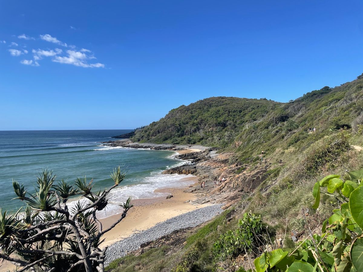 シーワード
イートストリート
スイーツの美味しいお店
ヌーサ