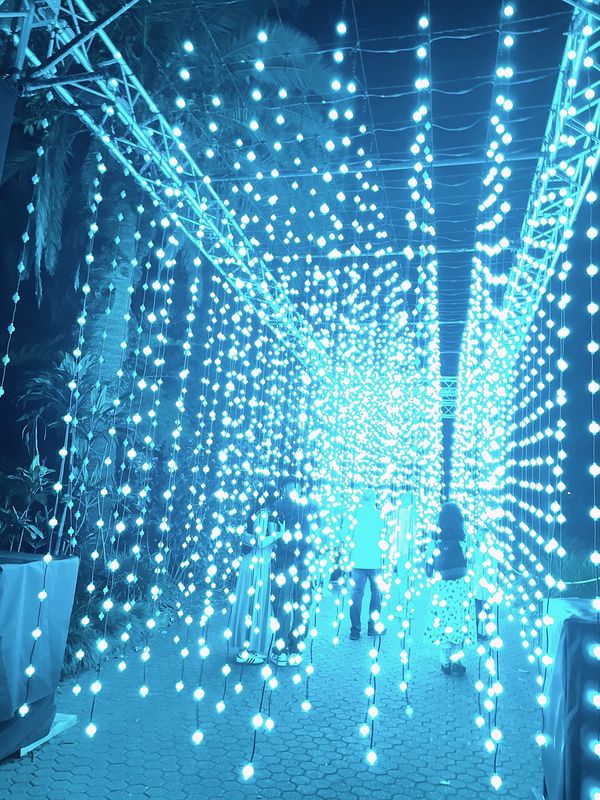 オーストラリア連邦「ブリスベンでの暮らし」の写真：ブリスベンフェスティバルのlight s...