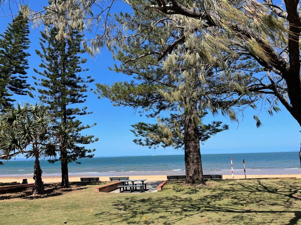 オーストラリア連邦「ブリスベンでの暮らし」の写真：レッドクリフ行く時にアボリジニ風？の電車...