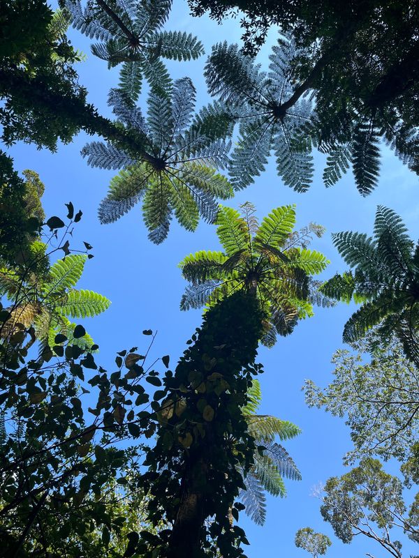 日本・鹿児島「奄美大島　加計呂麻島」の写真