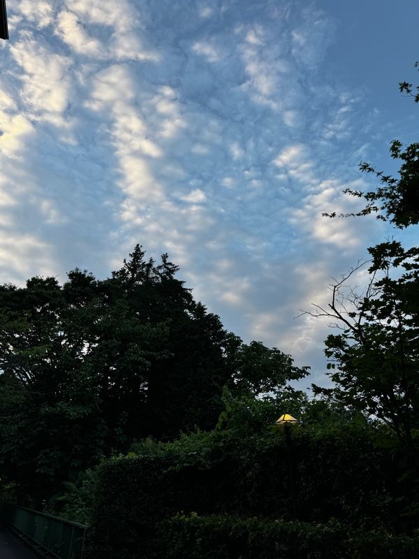 日本・神奈川県「箱根旅行」の写真