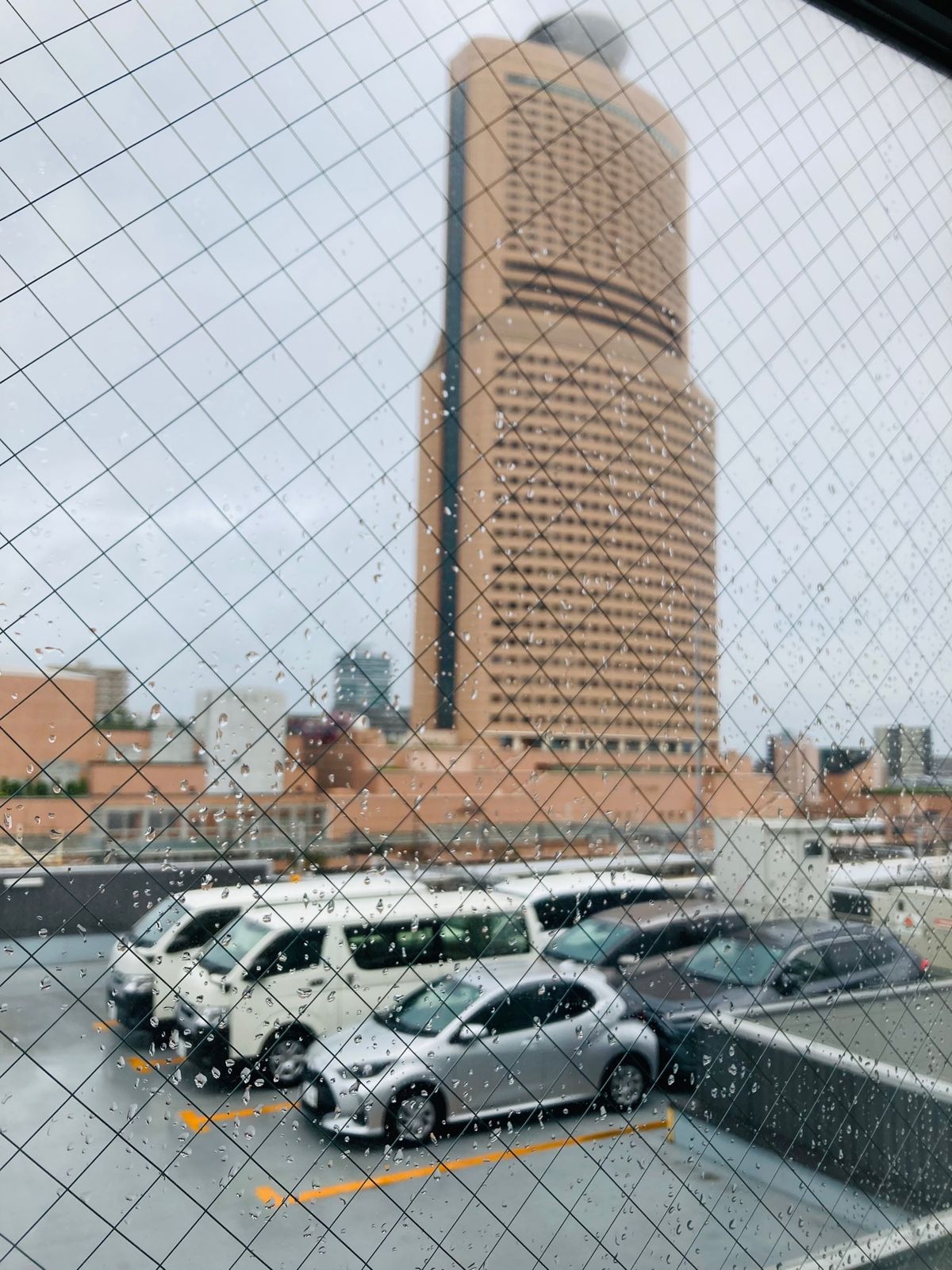 静岡県浜松市へ出張
前回に引き続き
今回も出張先は雨でした
ホテルから傘を...