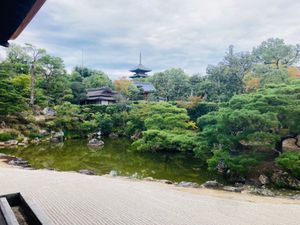 京都市の衣笠教会に
その後は仁和寺へまったりとしましたよ