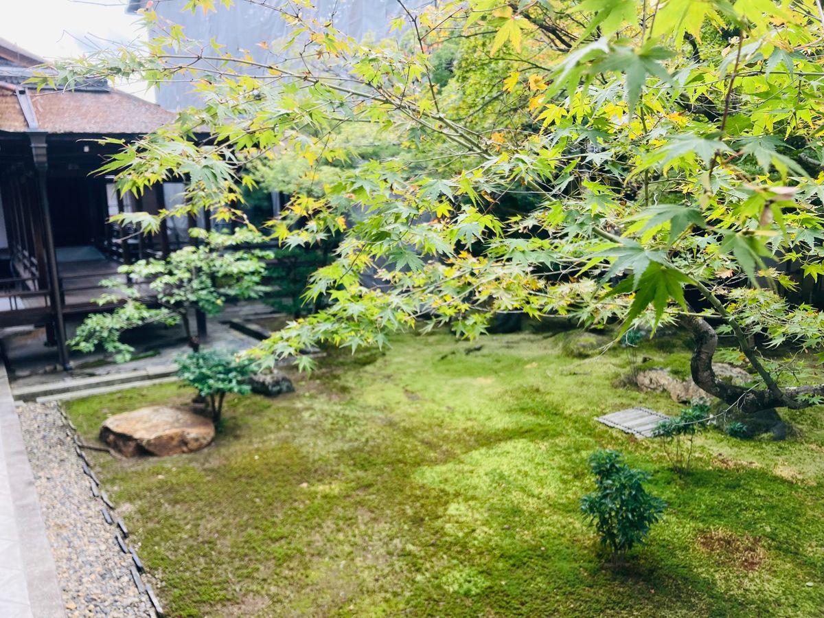 京都市の衣笠教会に
その後は仁和寺へまったりとしましたよ