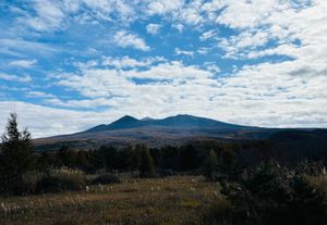 八甲田ホテルからの帰路。
この2日後、ニュースで大雪の酸ヶ湯を見ました。
...