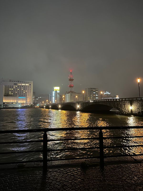 日本・新潟県「新潟スキー旅」の写真：萬代橋