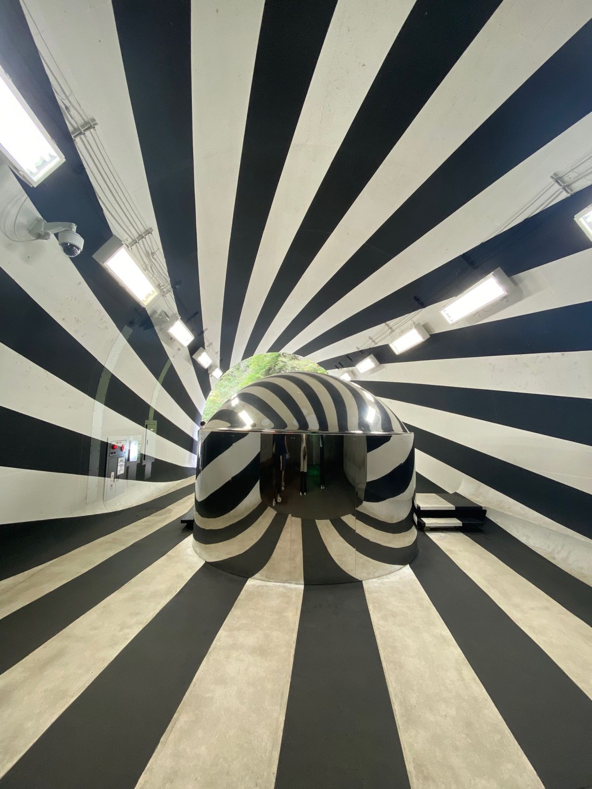 新米が最高に美味しかった