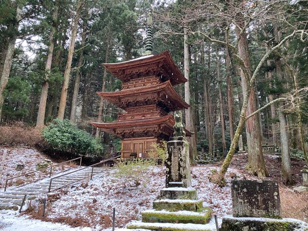 日本・長野県「駒ヶ根&中津川旅」の写真：光前寺
