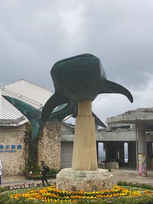 美ら海水族館