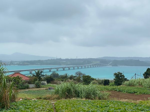 日本・沖縄県「沖縄旅」の写真：古宇利大橋