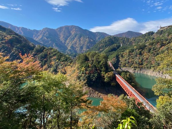 日本・静岡県「静岡旅」の写真：奥大井湖上駅