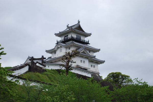 日本・静岡市「静岡鉄道旅」の写真：掛川城