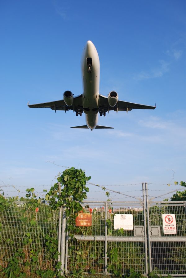日本・大阪府「大阪空港旅」の写真：千里川土手