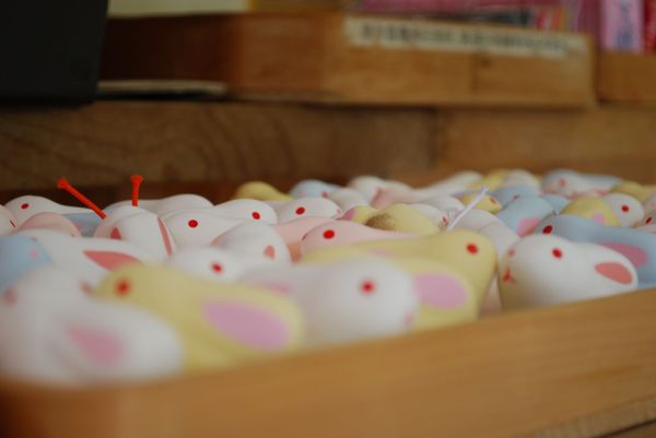 日本・京都府「宇治&嵐山旅」の写真：宇治神社