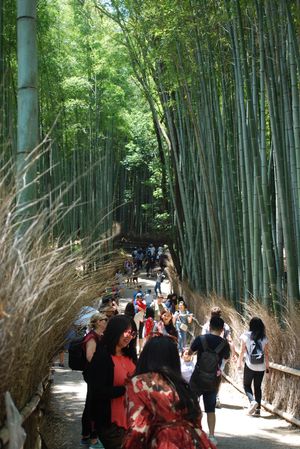 竹林の小径