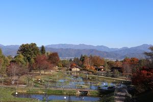 ランチの後は近くにある国立安曇野公園へ。紅葉が綺麗でした。