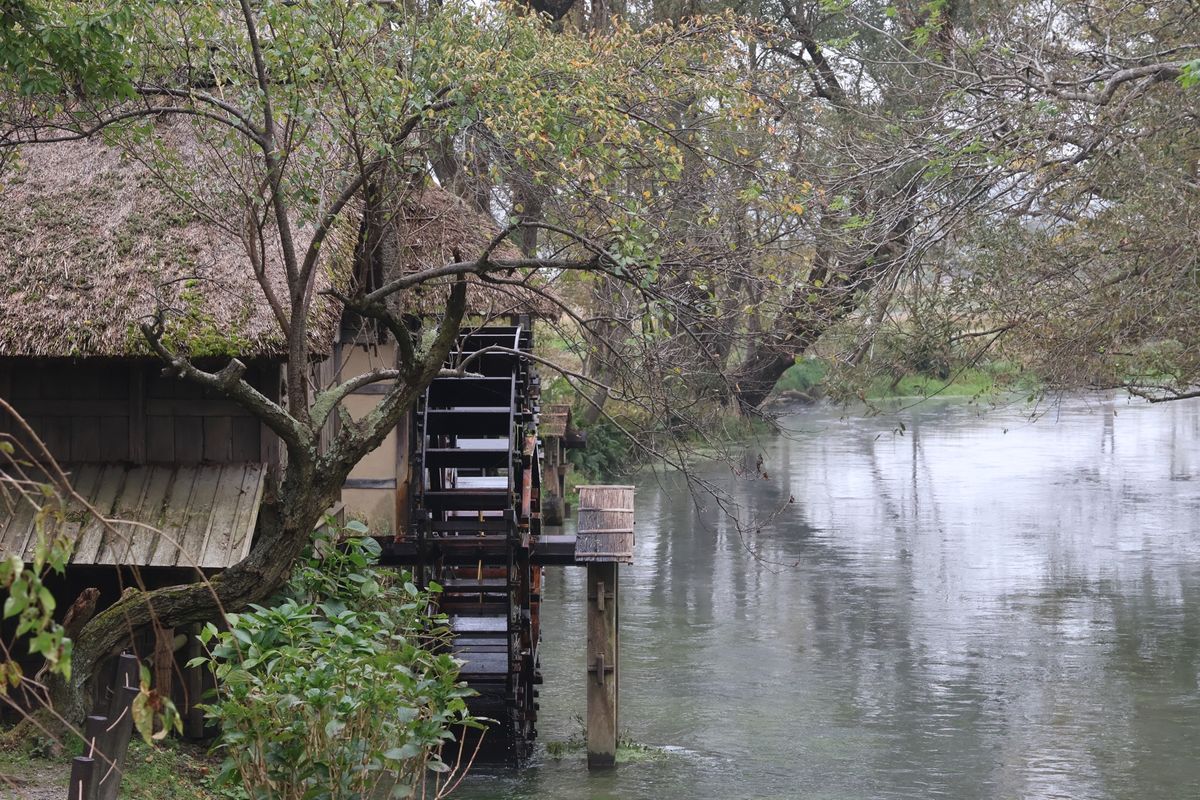翌日は安曇野方面へ。大王わさび園に行ってきました。