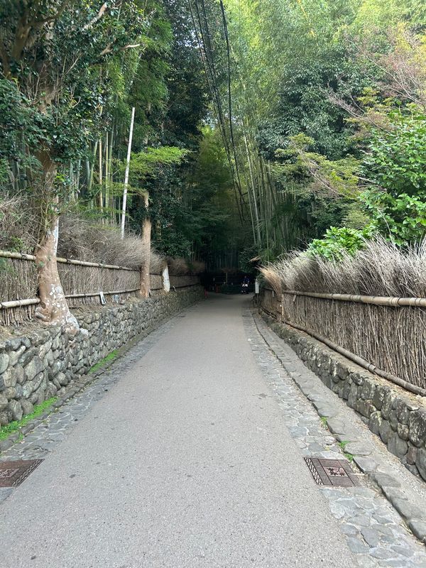 日本・京都「京都　嵐山」の写真