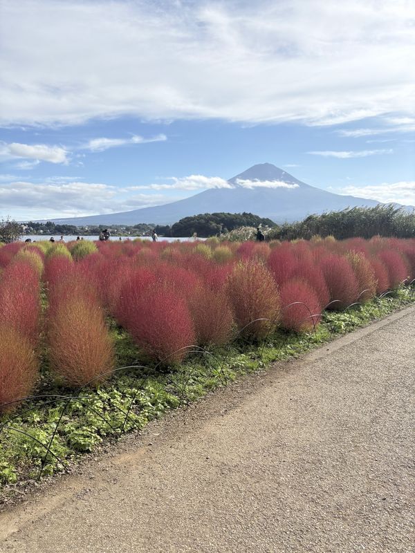 日本・山梨県「河口湖」の写真