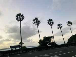 大浜海浜公園の夕焼けはサイコー
少し波が強かったです