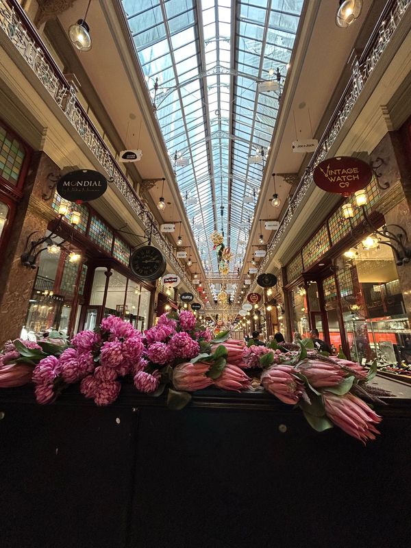 オーストラリア連邦・シドニー「シドニー」の写真