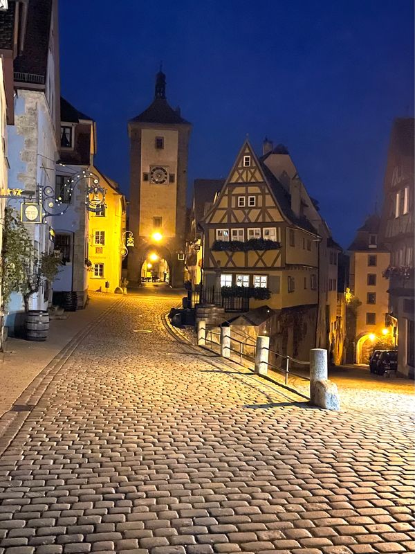 ドイツ・リューデスハイム「ドイツ満喫紀行」の写真：ドイツ🇩🇪、ゴルデナー ヒルシュ ローテ...