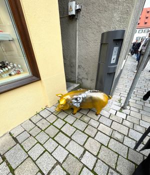 遂に幸運の豚🐷を見ました😊
ドイツ🇩🇪ネルトリンゲンの伝説😱

ネルトリン...