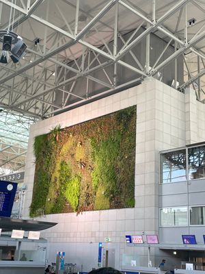 フランクフルト空港✈️の出国もかなり厳しかったです😱

ドイツ満喫紀行は今...