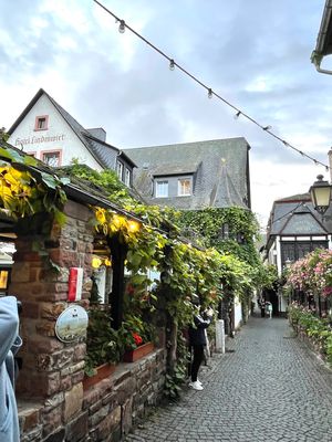 ドイツ🇩🇪リューデスハイムのつぐみ横丁です😊
メルヘンチックなお店や外構の...