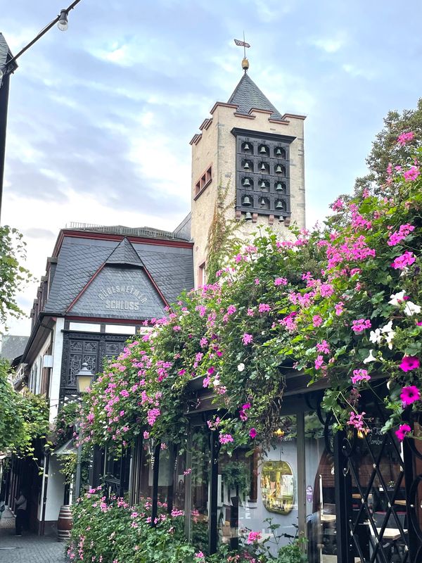 ドイツ・リューデスハイム「ドイツ満喫紀行」の写真：ドイツ🇩🇪リューデスハイムのつぐみ横丁で...