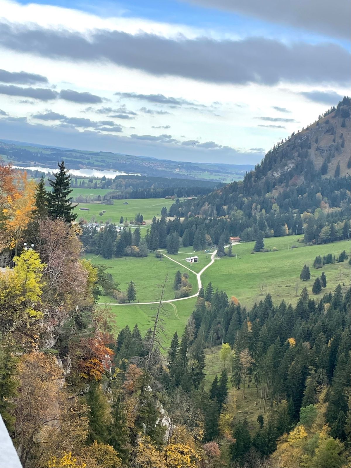 帰りは馬車🐎で坂を優雅に下りました❣️
さらば白鳥の城🦢

帰りは下り道で...
