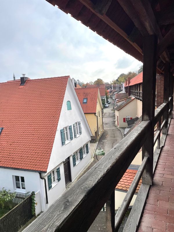 ドイツ・リューデスハイム「ドイツ満喫紀行」の写真：進撃の巨人の舞台‼️ネルトリンゲン❣️パ...