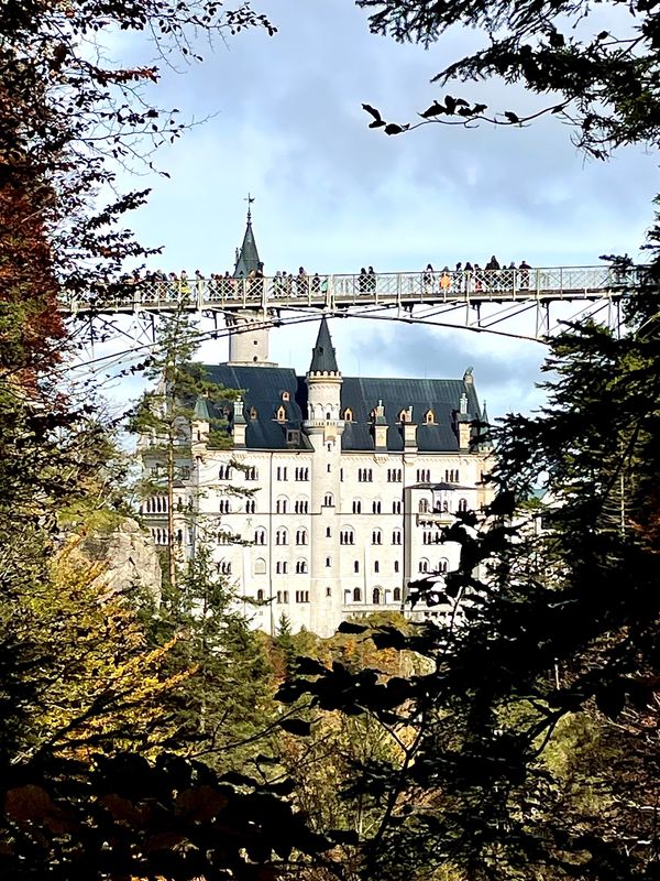 ドイツ・リューデスハイム「ドイツ満喫紀行」の写真：マリエン橋とノイシュバンシュタイン城❣️...