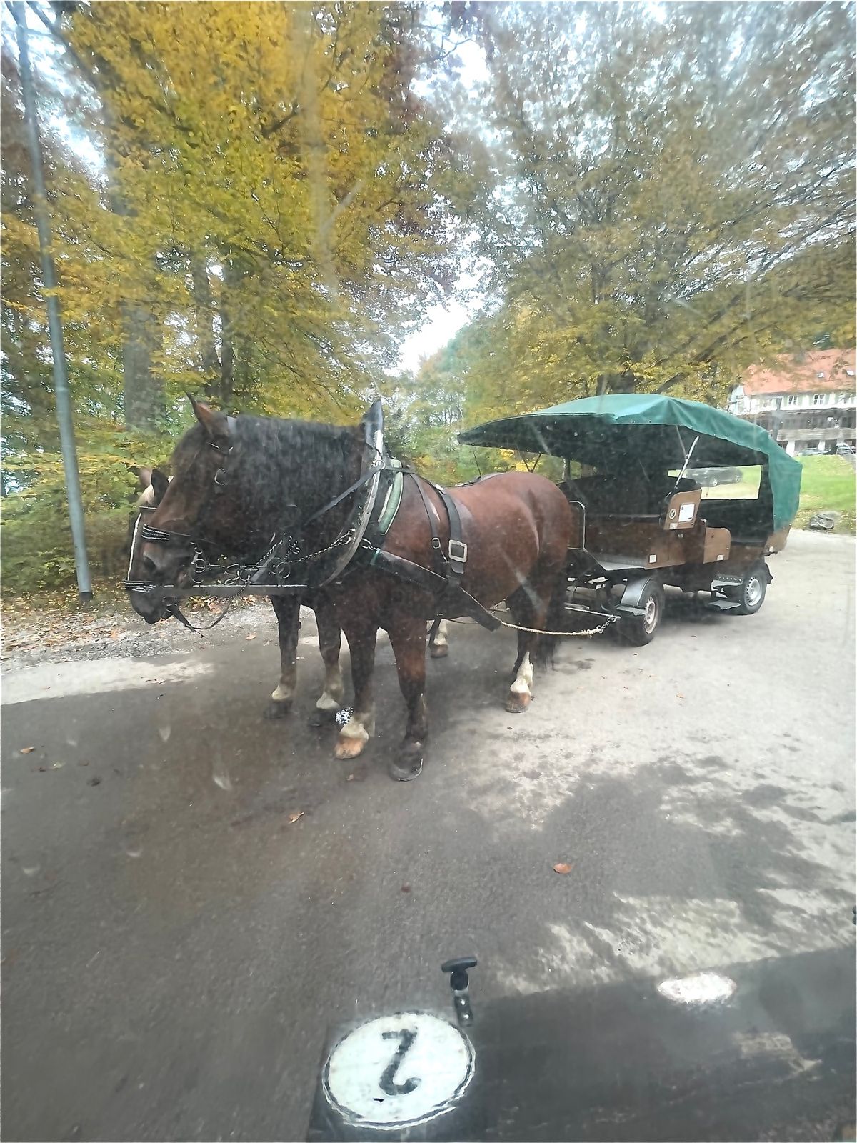 帰りは馬車🐎で坂を優雅に下りました❣️
さらば白鳥の城🦢

帰りは下り道で...
