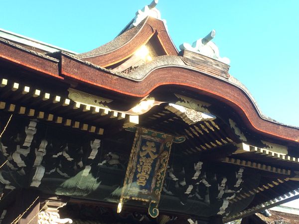 日本・京都府「歳男の新年旅行」の写真