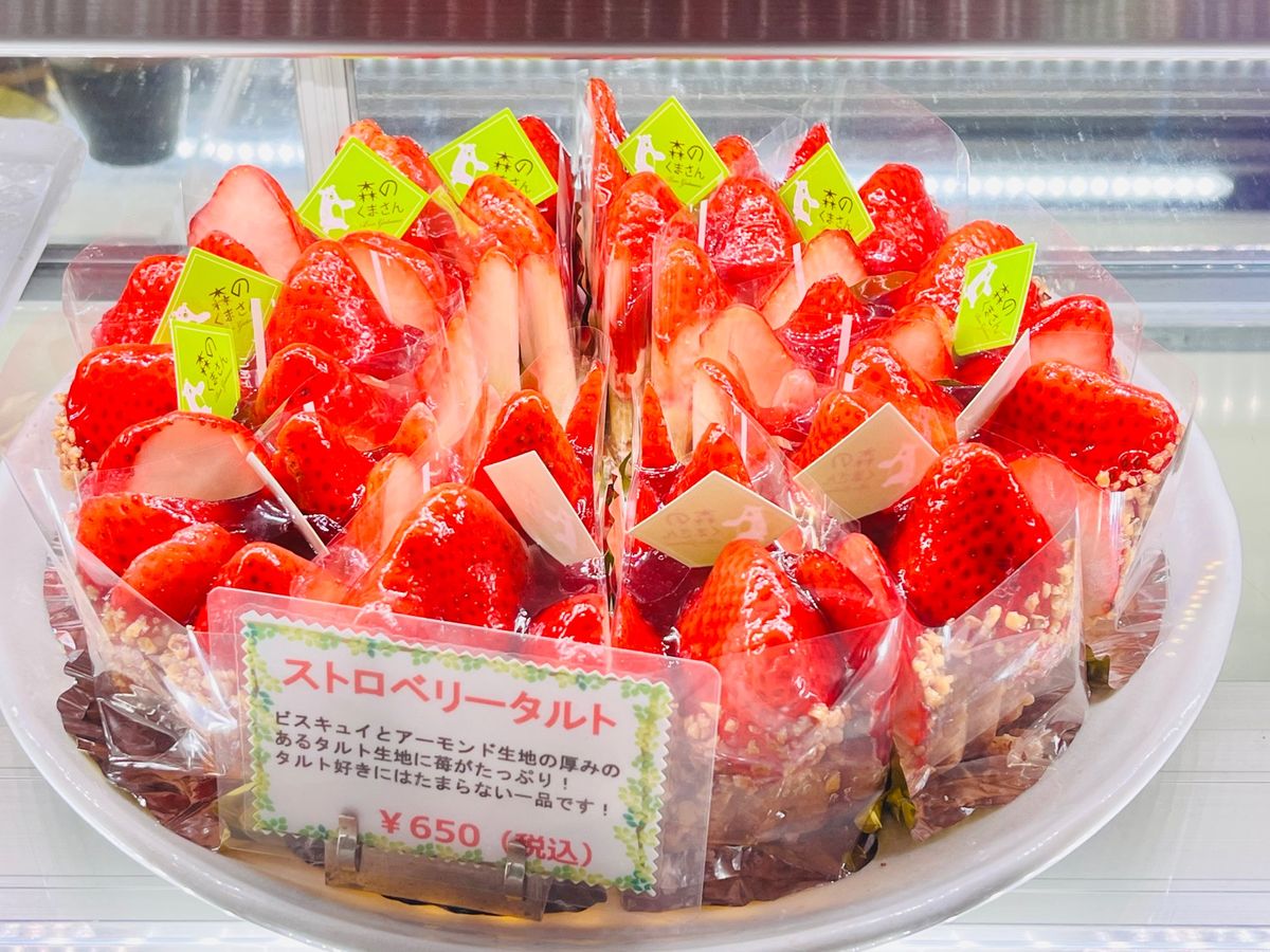 森のくまさん ボンガトー