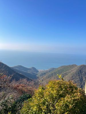 弥彦神社 弥彦山 弥彦山からの日本海