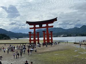 水あり、水なし　宮島フェリー🛳️、眉山