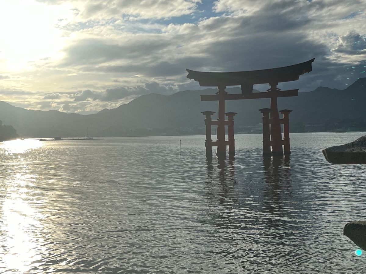 水あり、水なし　宮島フェリー🛳️、眉山