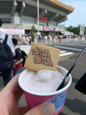 感情がのった歌声でとても感動させられた花譜ちゃんのライブでした🔭