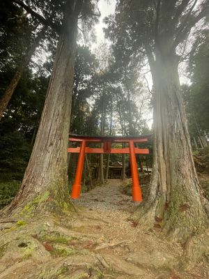 九頭神社から謎の道へ〜